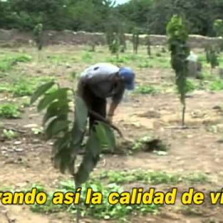 Ver video